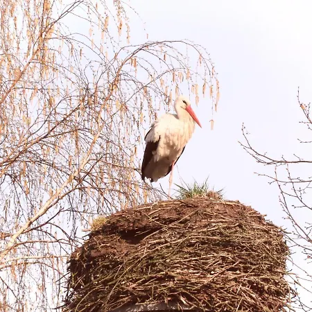 Gut Zarrentin * Zarrentin (Vorpommern-Rugen)
