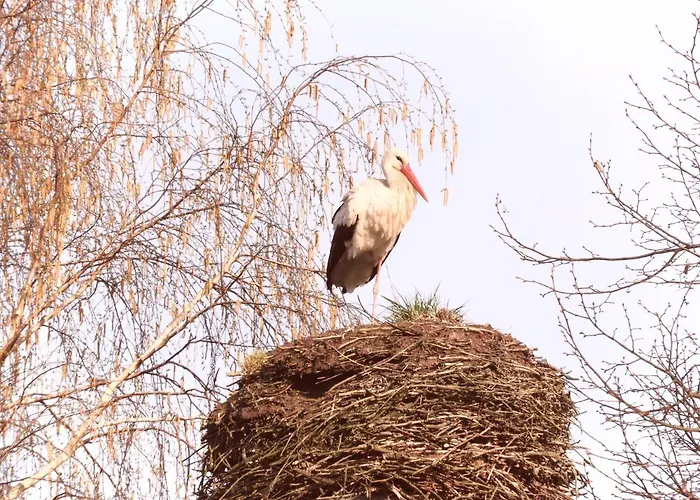 Gut Zarrentin * Zarrentin (Vorpommern-Rugen)